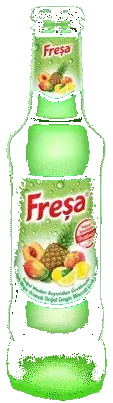 Freşa Karışık Aromalı Doğan Zengin Mineralli Gazlı İçecek 200 Ml
